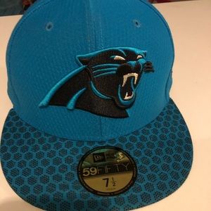 Panthers Hat